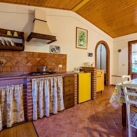 Agriturismo Il Feudo Vendégház Grosseto Kültér fotó