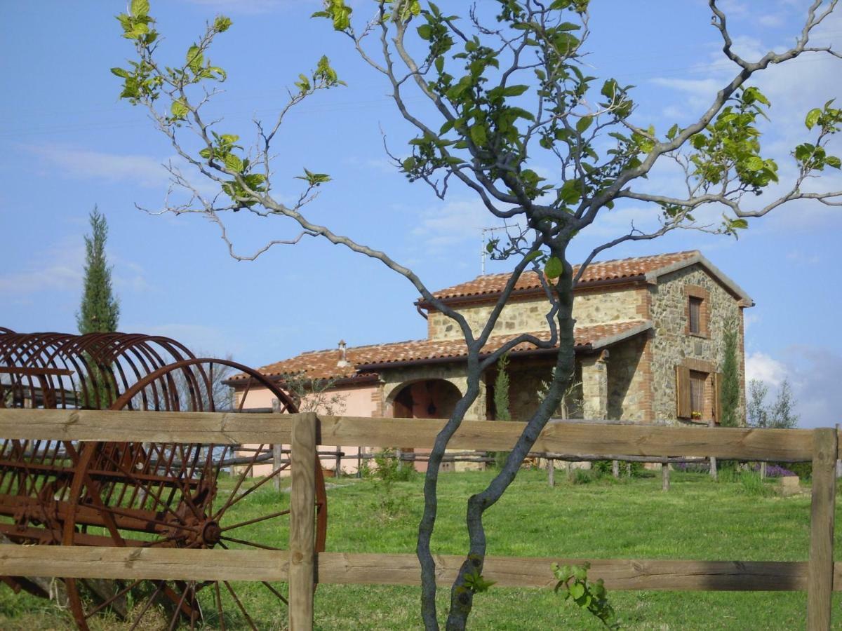 Agriturismo Il Feudo Vendégház Grosseto Kültér fotó